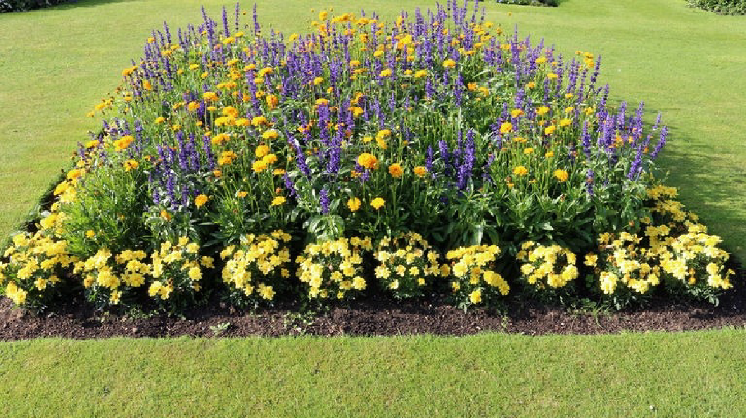 a beautifully maintained garden with a variety of colorful flowers arranged in neat rows