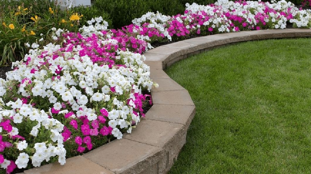 a beautifully landscaped garden with a variety of flowers and plants