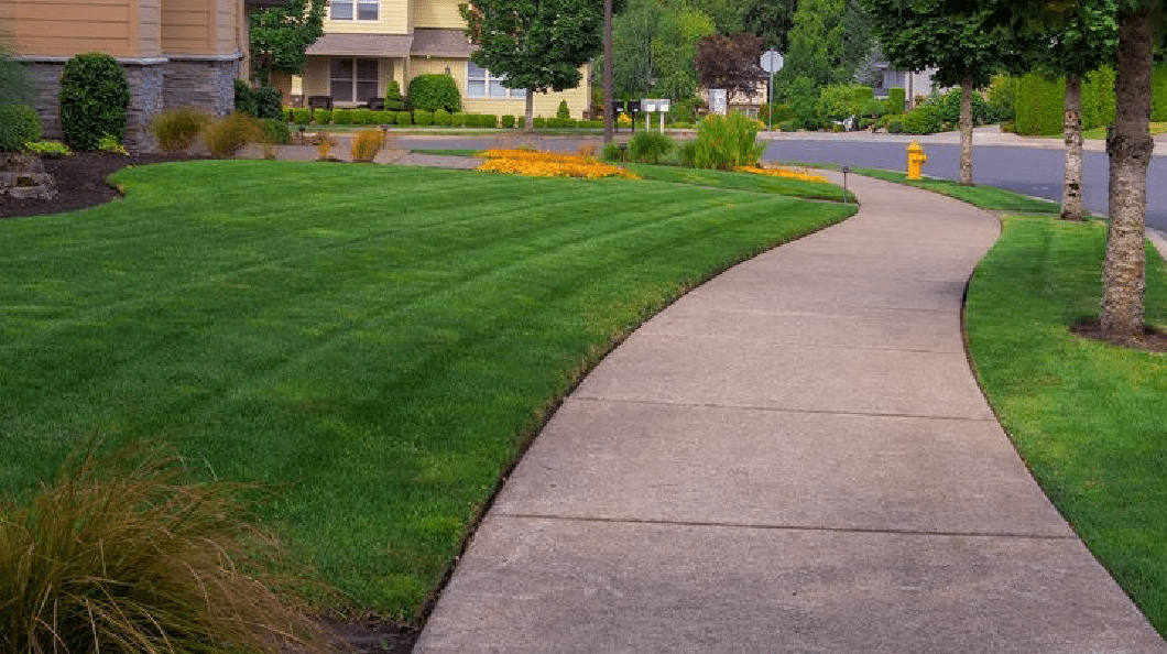 a well-maintained sidewalk with a cement pathway that leads to a house