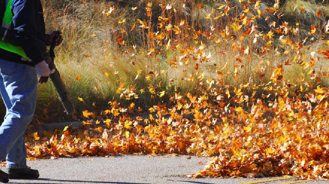 There are multiple leaves scattered around the street, some of which are being blown by the man